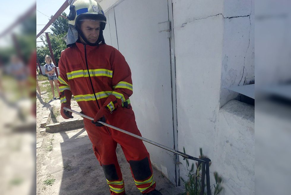 В Днепре во дворе жилого дома нашли змею змея Днепр спасатели