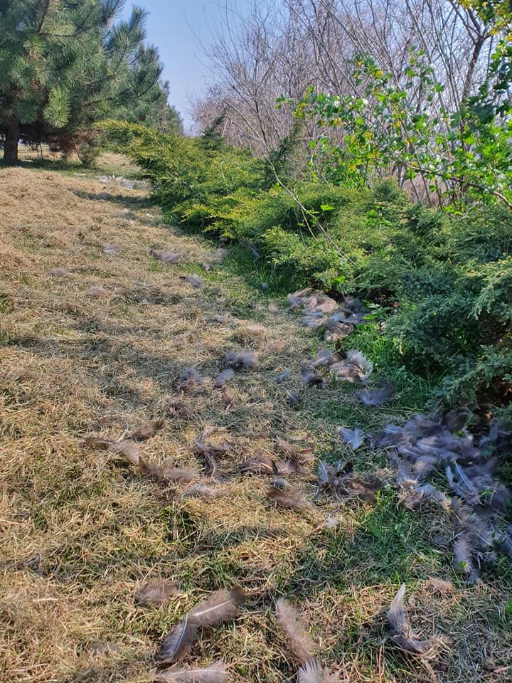 яхт-клуб в Днепре