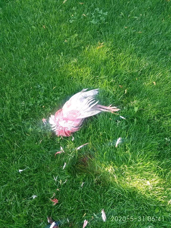 яхт-клуб в Днепре