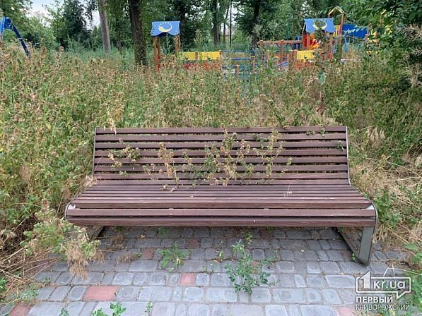 Недавно отремонтированный парк зарос сорняками. Новости Днепра