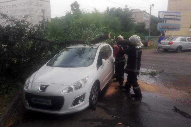 ветка авто ГСЧС