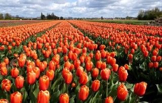 8 мест Украины, в которых стоит побывать. Новости Украины