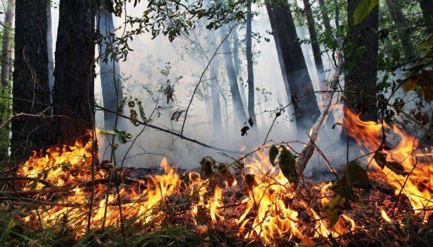 На территории Днепропетровской области сохраняется чрезвычайная пожарная опасность 5 класса. Новости Днепра