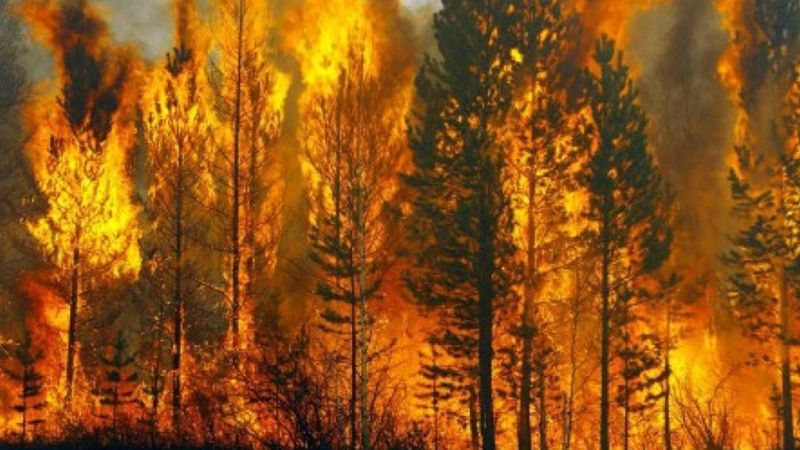 На территории региона ожидается высокая пожарная опасность. Новости Днепра