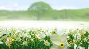 8 мест Украины, в которых стоит побывать. Новости Украины