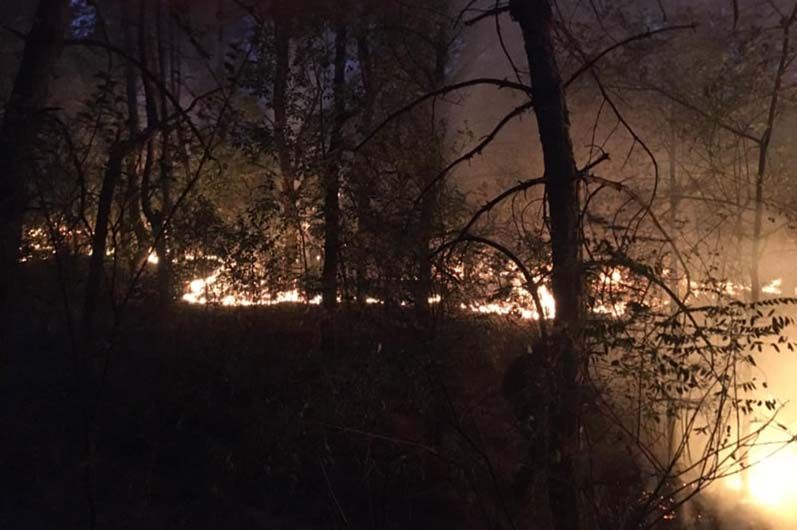 Более 20 спасателей тушили 8 гектар леса. Новости Днепра