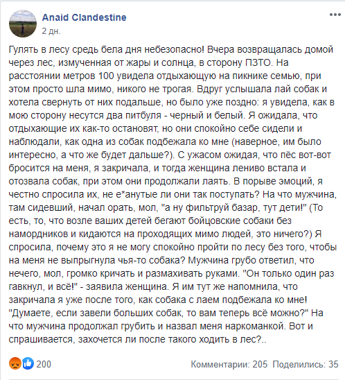 На девушку набросились питбули без намордников. Новости Днепра