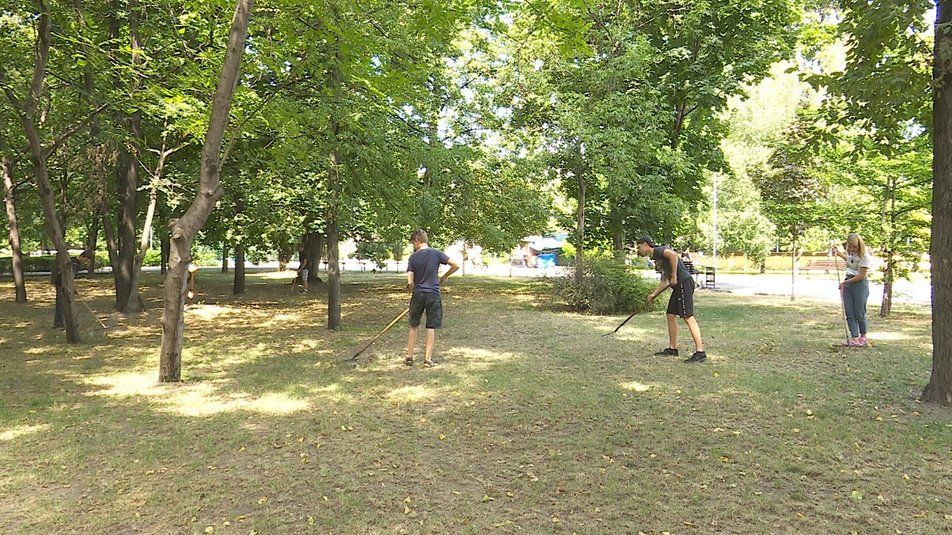 В области школьники помогают коммунальщикам. Новости Днепра