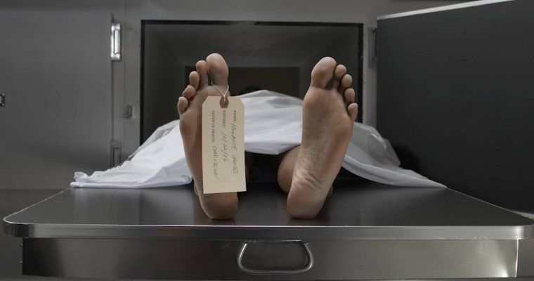 В Днепре полиция просит помощи в опознании останков. Новости Днепра