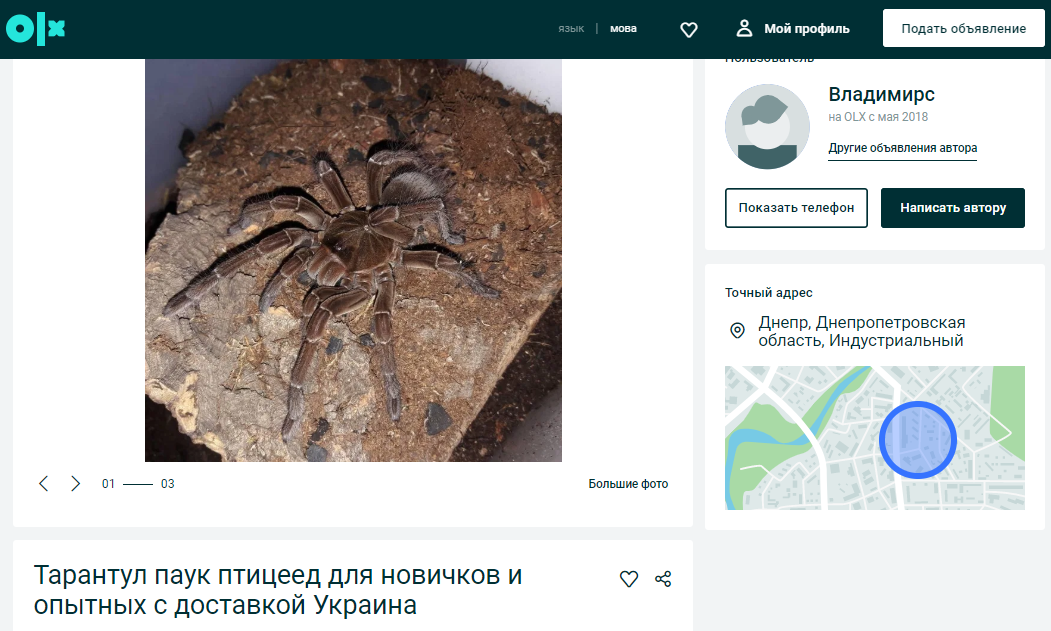 ТОП экзотических животных в Днепре. Новости Днепра