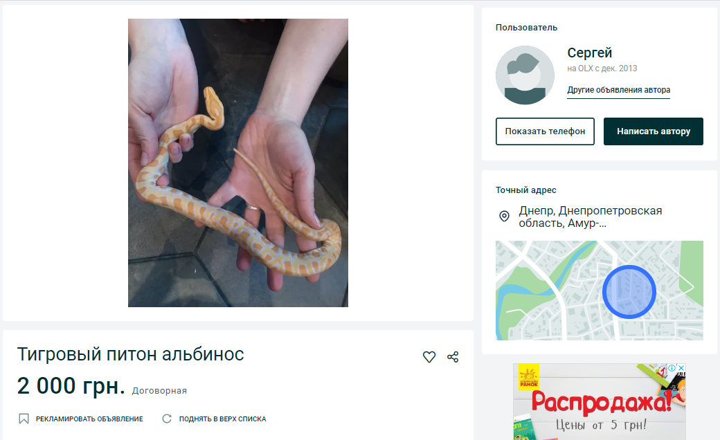 ТОП экзотических животных в Днепре. Новости Днепра