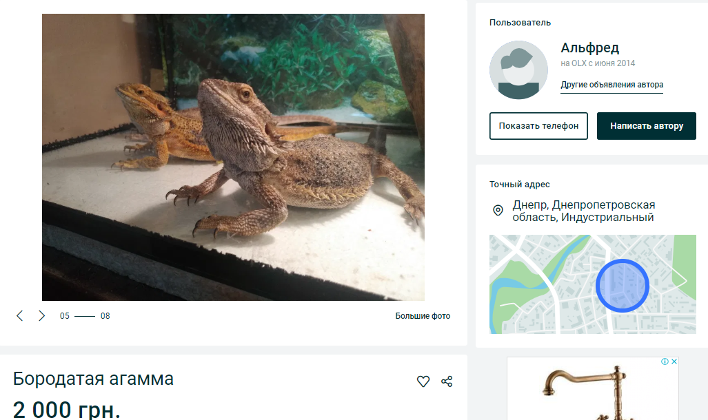 ТОП экзотических животных в Днепре. Новости Днепра