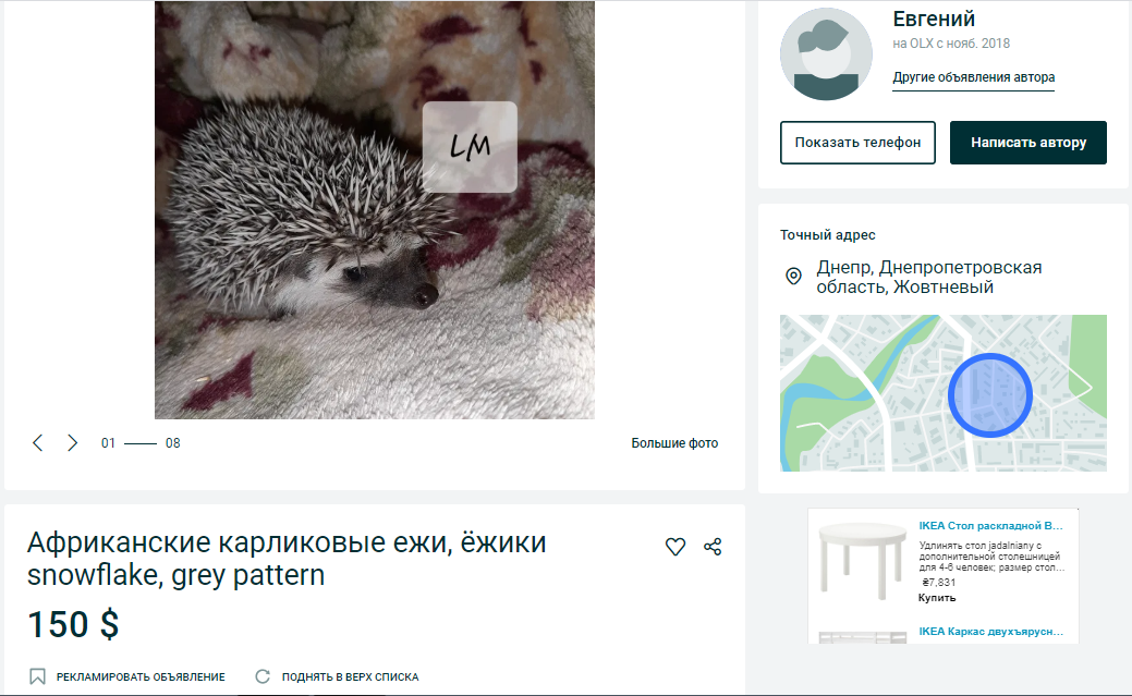 ТОП экзотических животных в Днепре. Новости Днепра