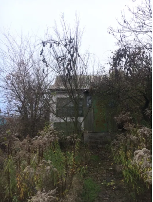 Самые дешевые дома, которые можно купить на Игрени. Новости Днепра