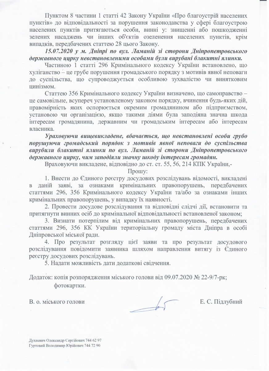 В Днепре у цирка вырубили голубые ели. Новости Днепра