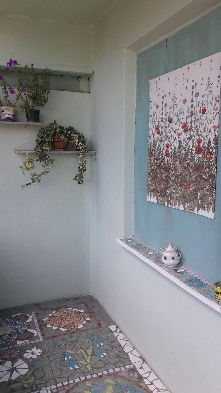 Жительница дома создала шедевр на общем балконе. Новости Днепра