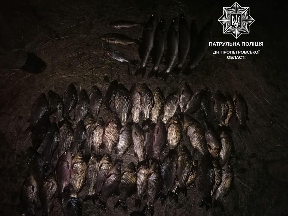 На Днепропетровщине задержали браконьера. Новости Днепра