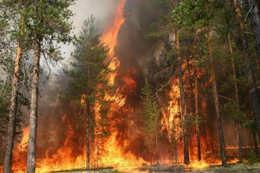 Днепрян и жителей области предупредили об опасности. Новости Днепра