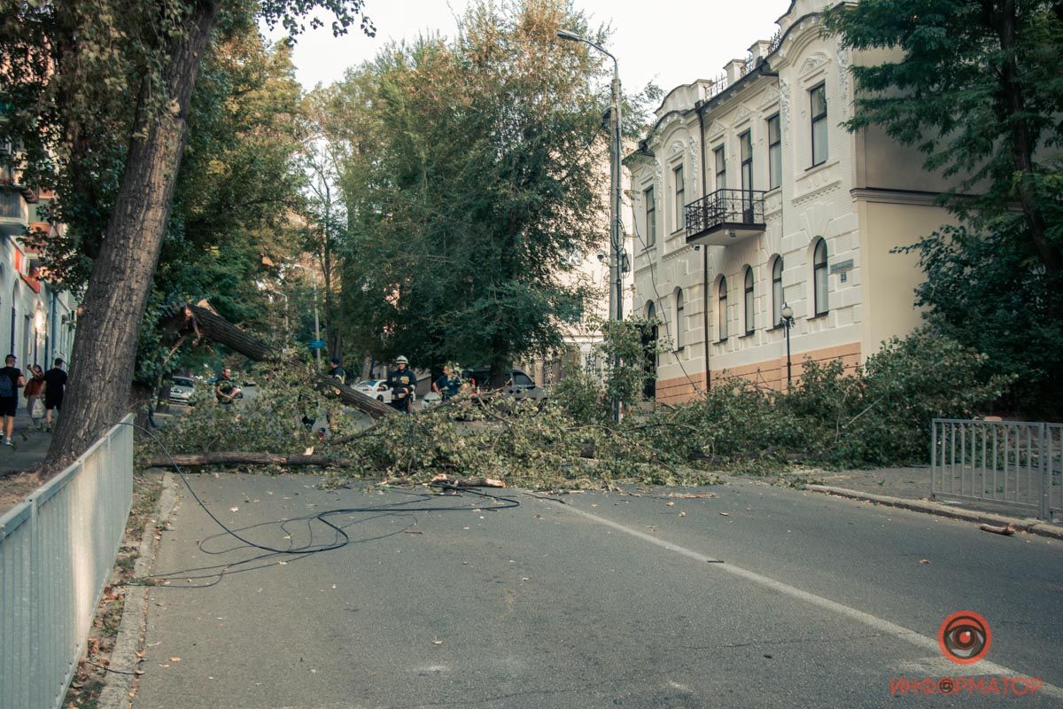 упало дерево Днепр