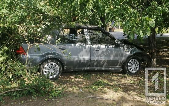 Водитель авто потерял управление и врезался в дерево. Новости Днепра