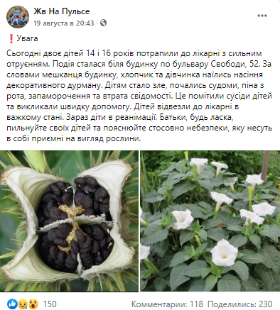 Дети объелись растительного галлюциногена. Новости Днепра