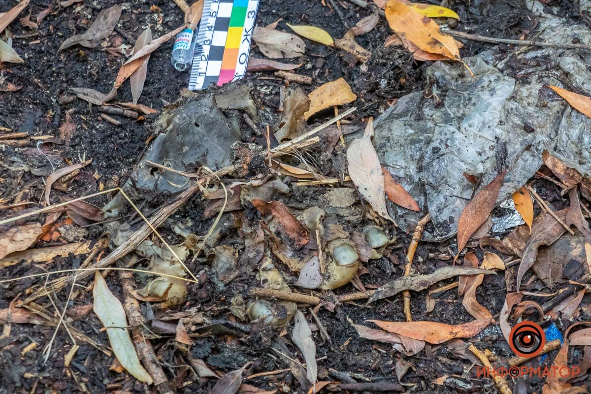 В Днепре мужчина нашел человеческие останки. Новости Днепра