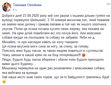 Собака покусала малыша. Новости Днепра