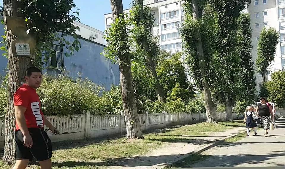 Бойцовая собака гуляет без поводка возле школы. Новости Днепра