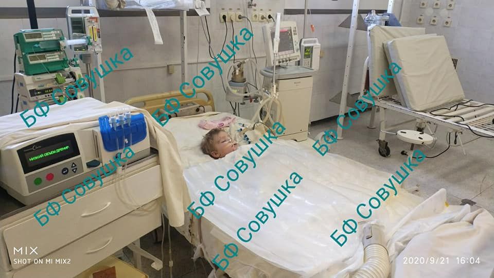 Как себя чувствует мальчик, которого искусали овчарки. Новости Днепра