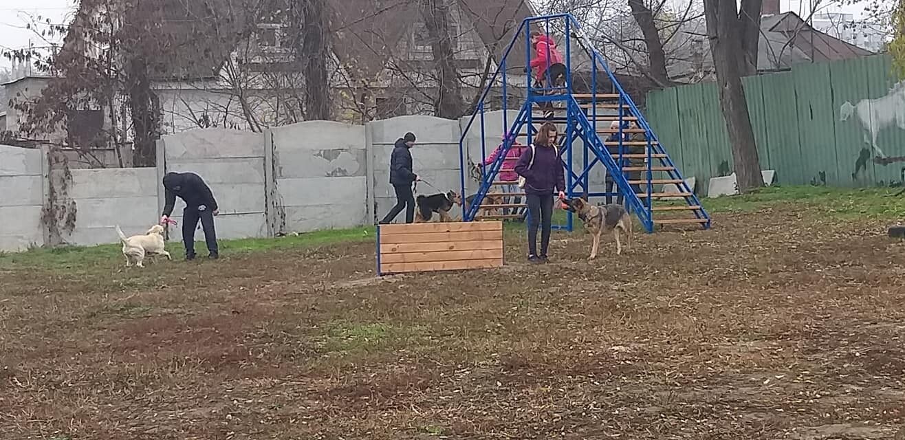 За какие проекты предлагают голосовать на 12 квартале. Новости Днепра