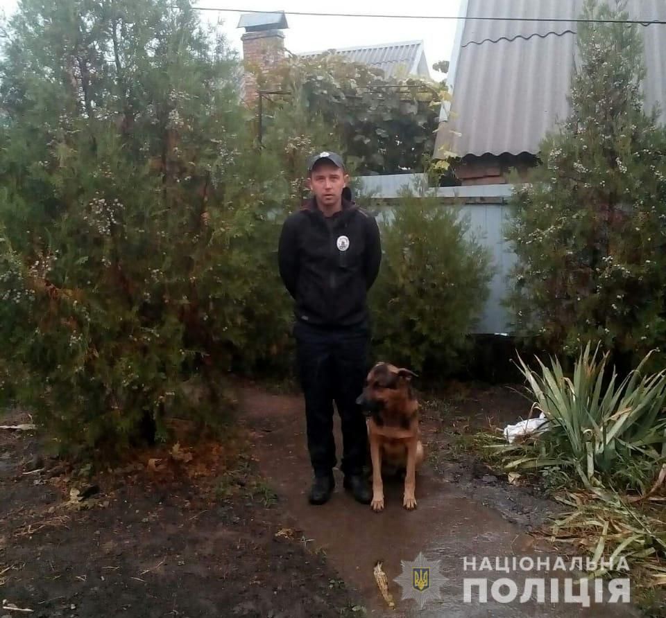 Разбой в области. Новости Днепра