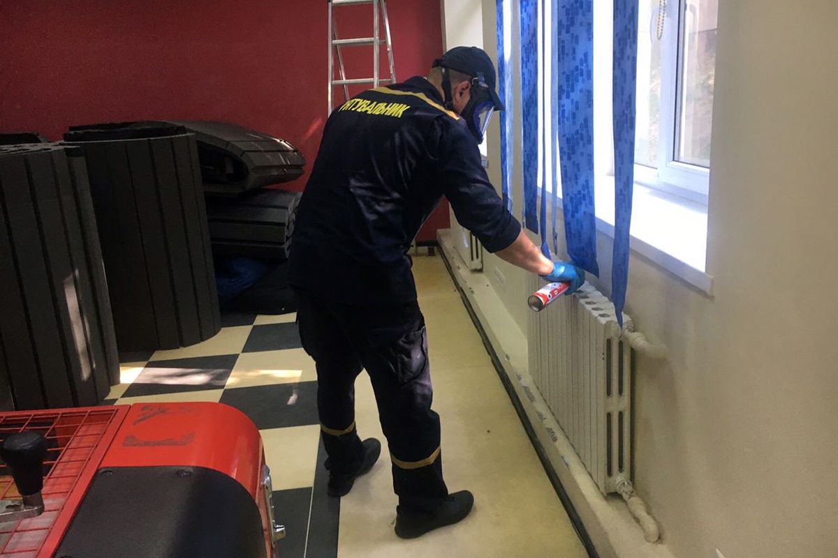 В школе поселились опасные насекомые. Новости Днепра