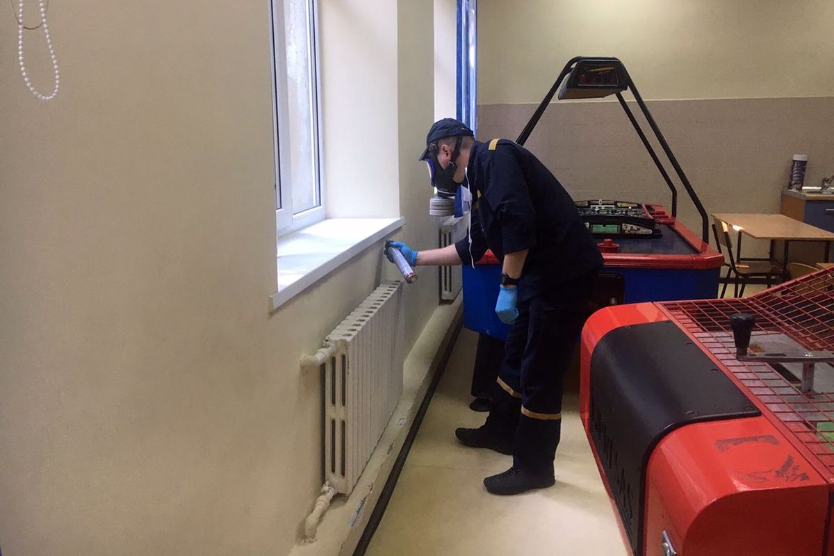 В школе поселились опасные насекомые. Новости Днепра