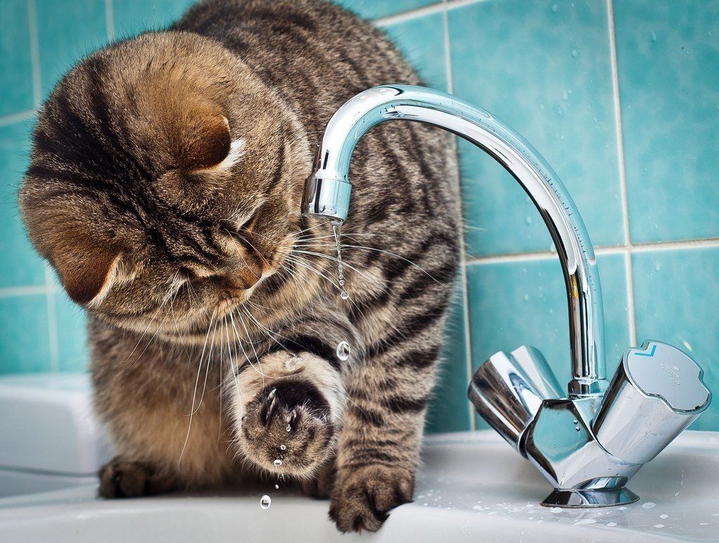 Отключение воды в Днепре. Новости Днепра