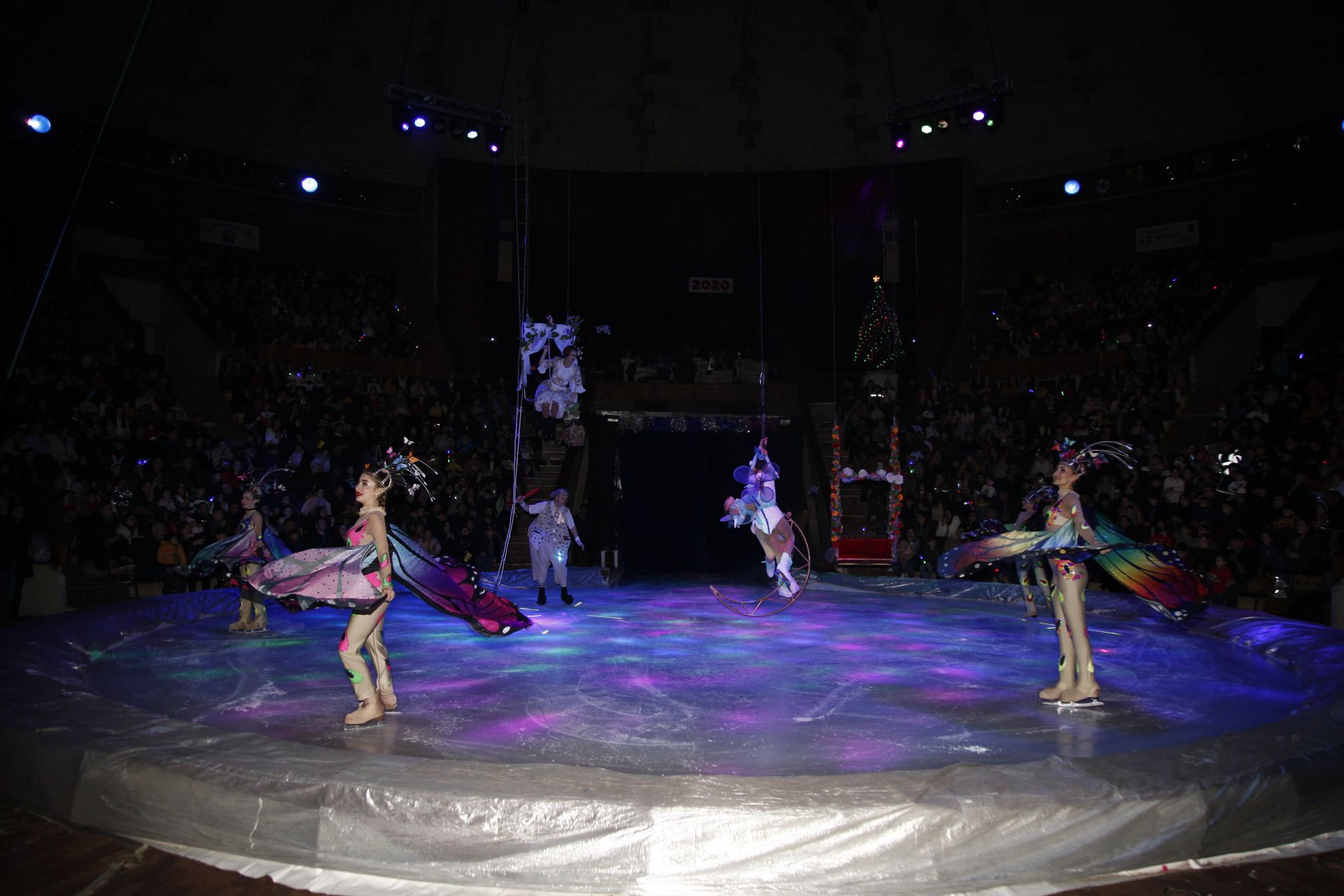 Цирк на льду «Ледовое Королевство»