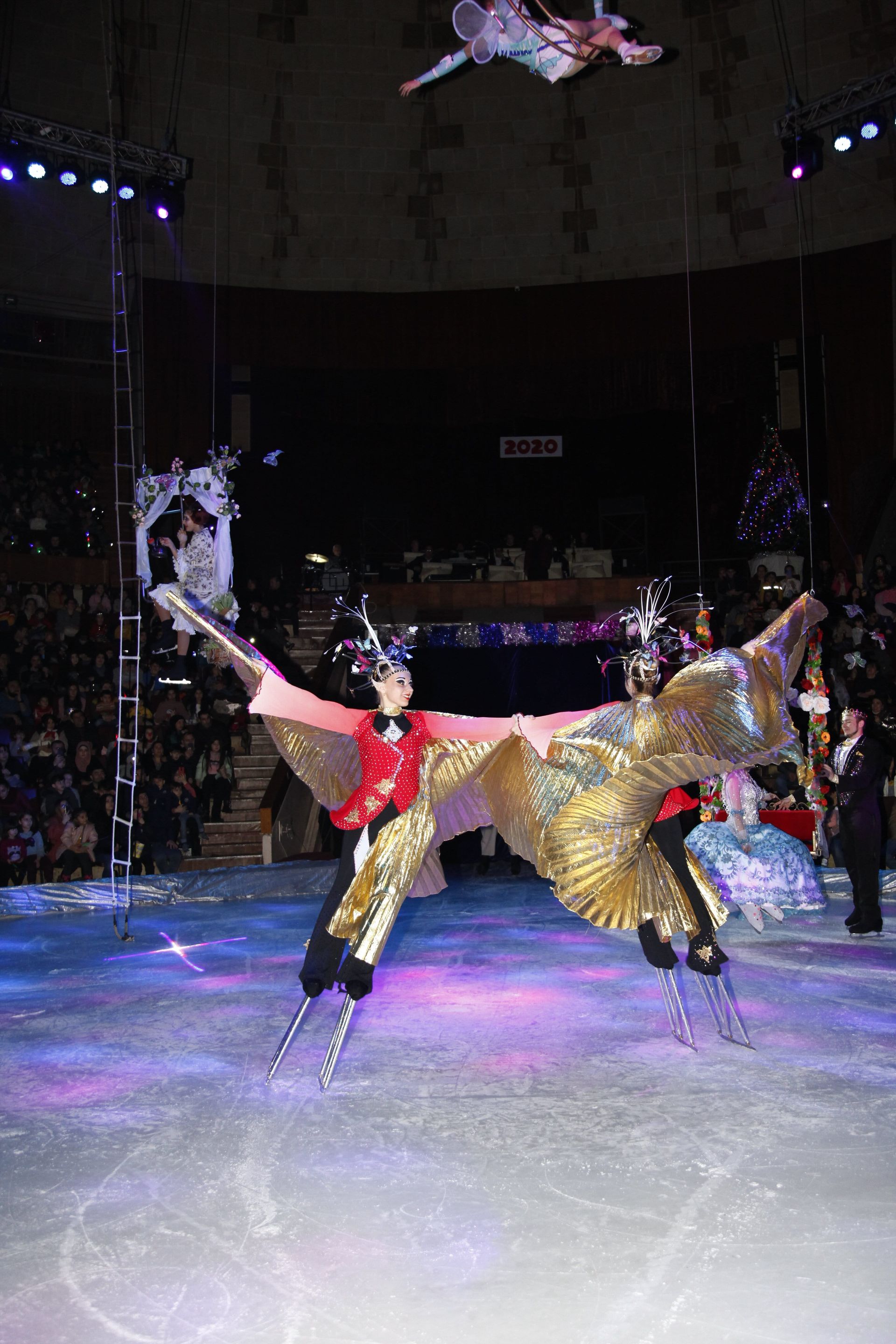 Цирк на льду «Ледовое Королевство»