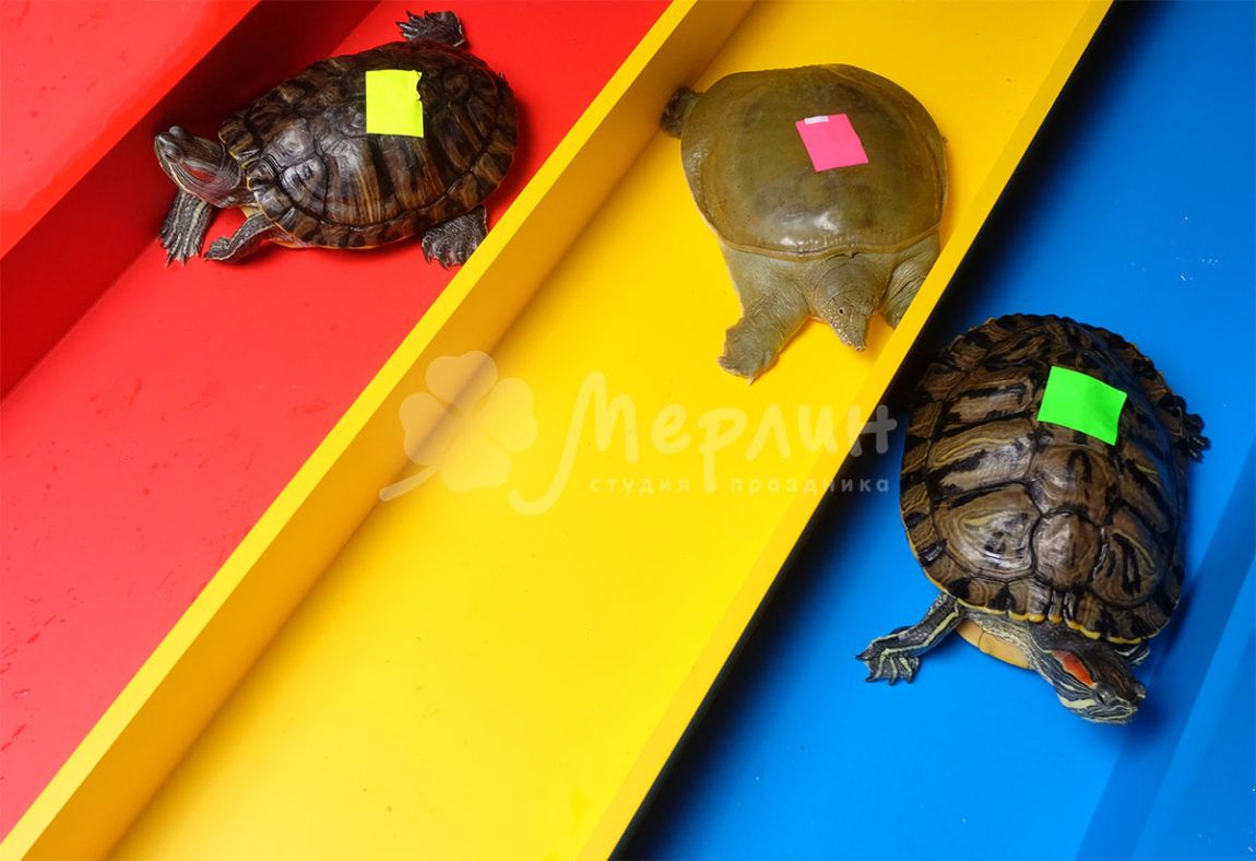 Где отметить детский день рождения. Новости Днепра