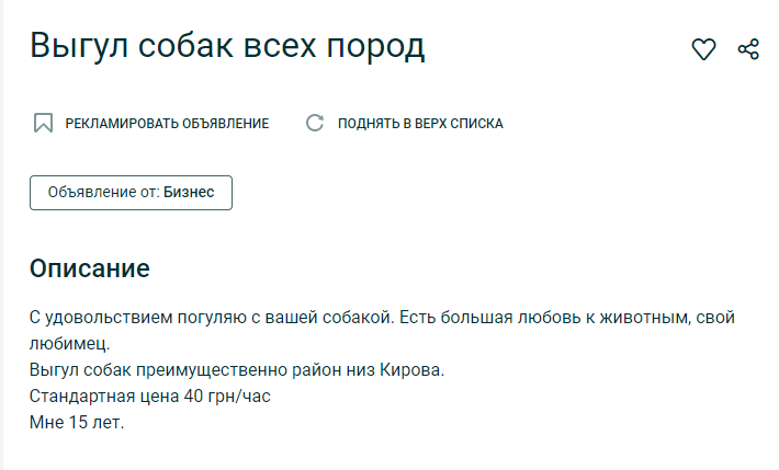 Сколько стоит выгул домашних животных. Новости Днепра