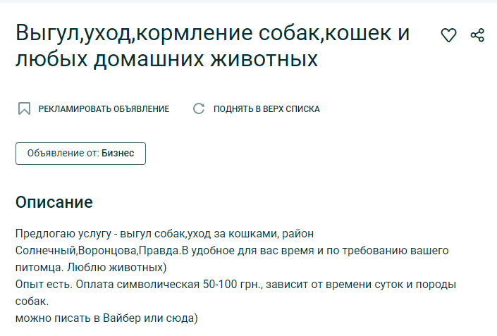 Сколько стоит выгул домашних животных. Новости Днепра