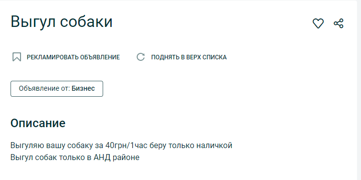 Сколько стоит выгул домашних животных. Новости Днепра