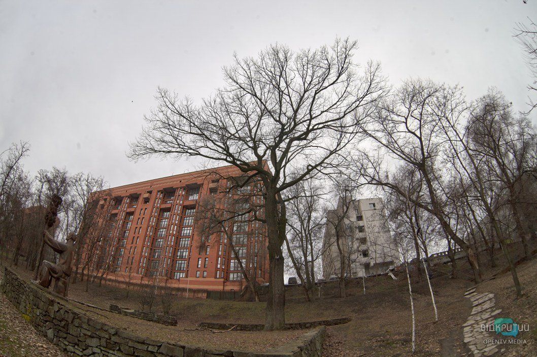 Деревья в Днепре