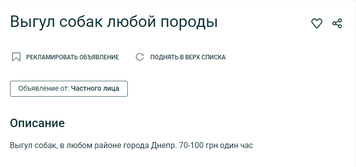 Сколько стоит выгул домашних животных. Новости Днепра