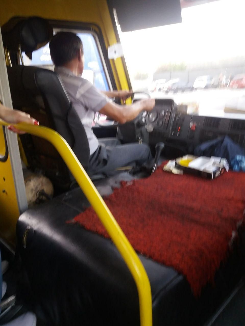 Наказали водителя, который зажал руку пассажирки в дверях. Новости Днепра