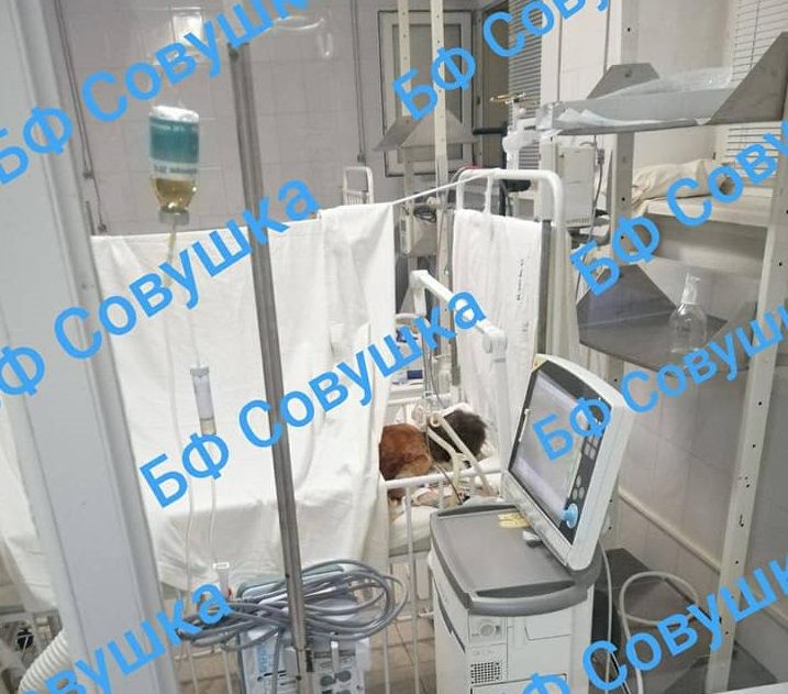 В области спасают жизнь ребенка. Новости Днепра