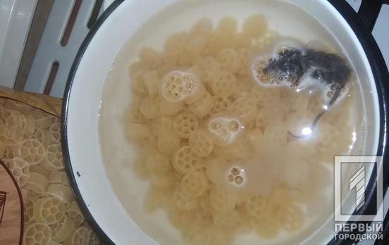 Девушка обнаружила мертвую мышь в пачке макарон