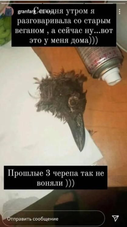 Убийство. Новости Днепра