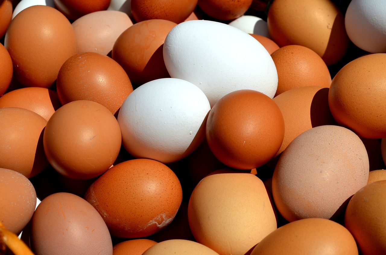 Цены на продукты. Новости Днепра