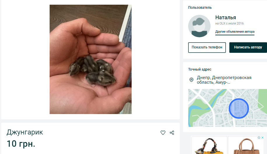 Необычные вещи. Новости Днепра