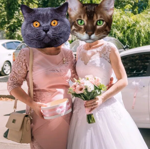 Эмодзи. Новости Днепра