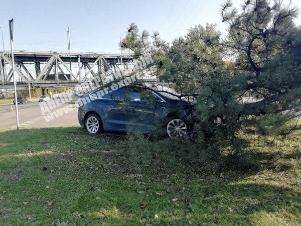 Автомобиль влетел в дерево. Новости Днепра